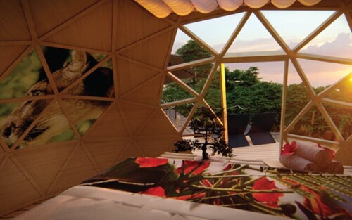Maia Glamping With Sauna for 4