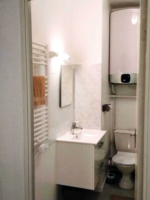 Bathtub, hair dryer, toilet paper