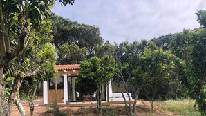 Un petit bâtiment rustique, doté d’un toit en tuiles, entouré d’une végétation luxuriante et d’arbres.