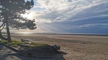 Accommodatie ligt op het strand, ligstoelen