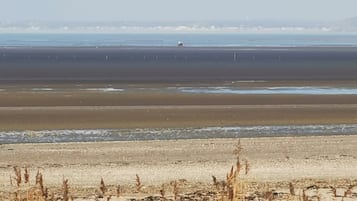 On the beach, sun-loungers