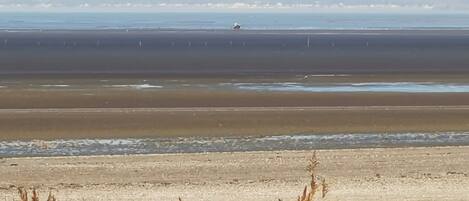 On the beach, sun-loungers