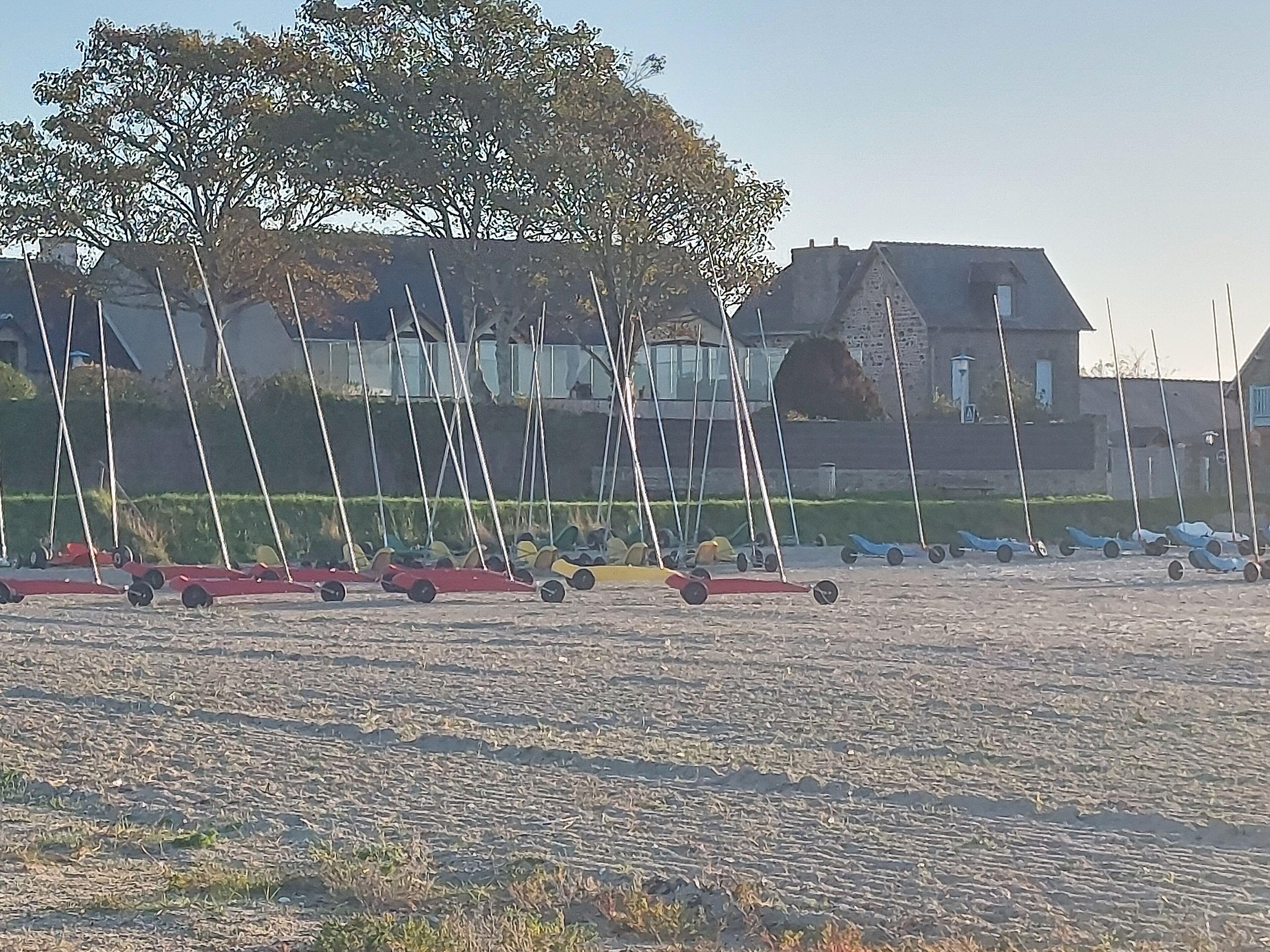 A row of sailboats lined up on a sandy beach with houses in the background.