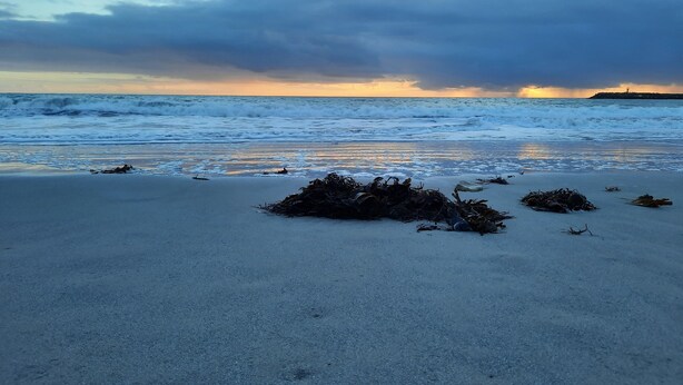 Nær stranden