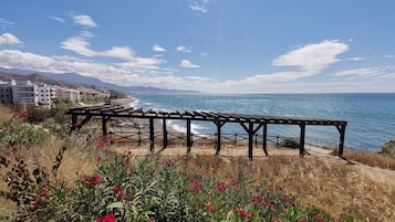 在海滩、沙滩椅