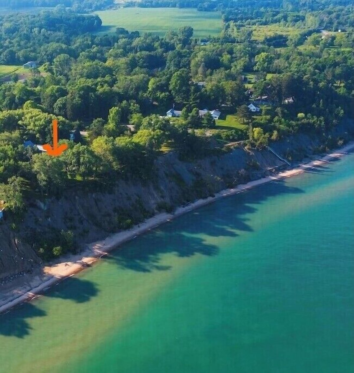 Image de profil de lâhĂŽte