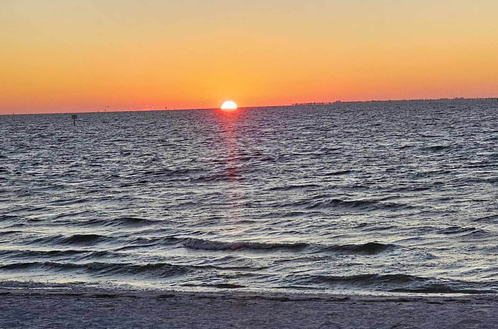 Dolphin Studio 306 Tampa Bay Florida Beach Resort w/ Pools, Hot Tub & More