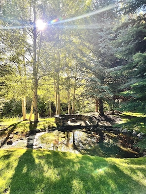 Parco della struttura