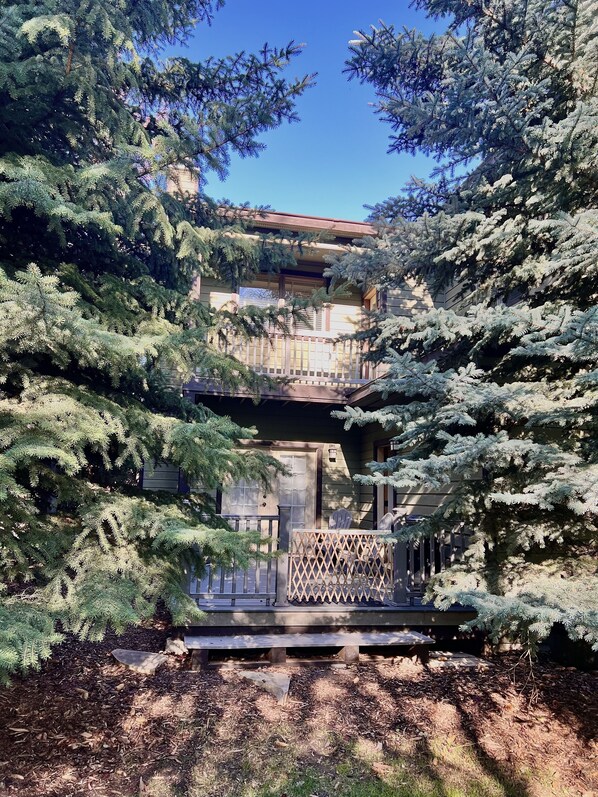 A building with a balcony, surrounded by dense evergreen trees.