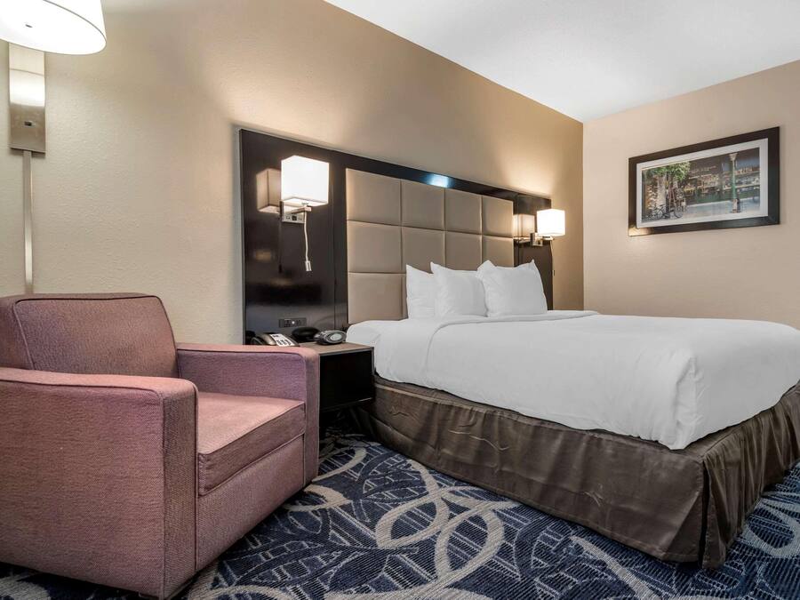 Una habitación de hotel con cama, una silla, una mesita de noche, una lámpara y un cuadro en la pared.