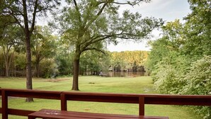 Un pontile in legno con una panchina che si affaccia su una zona erbosa con alberi e una vista lontana di un edificio.