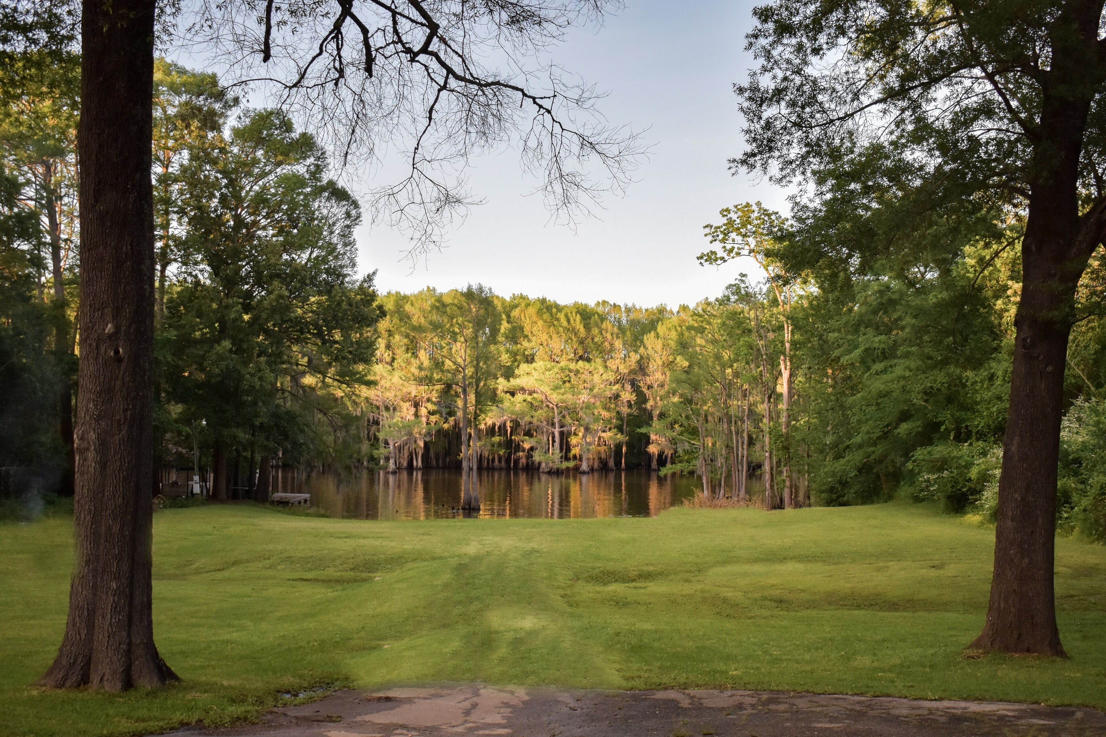 A serene park with a pond, surrounded by trees and grassy areas.