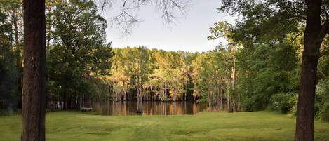 A serene park with a pond, surrounded by trees and grassy areas.