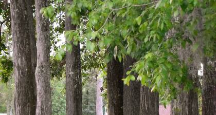 #8 Caddo Hide Out-Uncertain Lodge and Inn