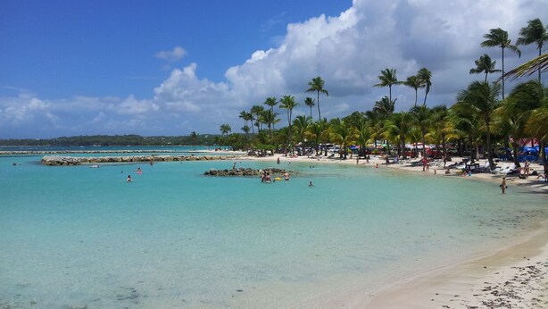 A beach with clear turquoise water, palm trees, and a sandy shore. - Bungalow Cocodile 2 (Sainte-Anne)