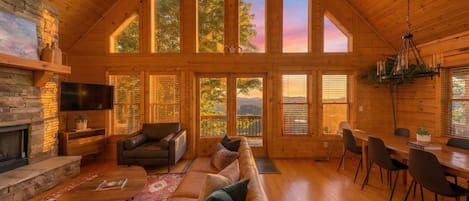 TV, fireplace, video games, books