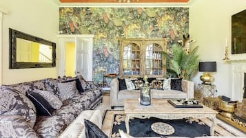 Smart TV, chimenea y libros