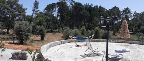 Área da propriedade