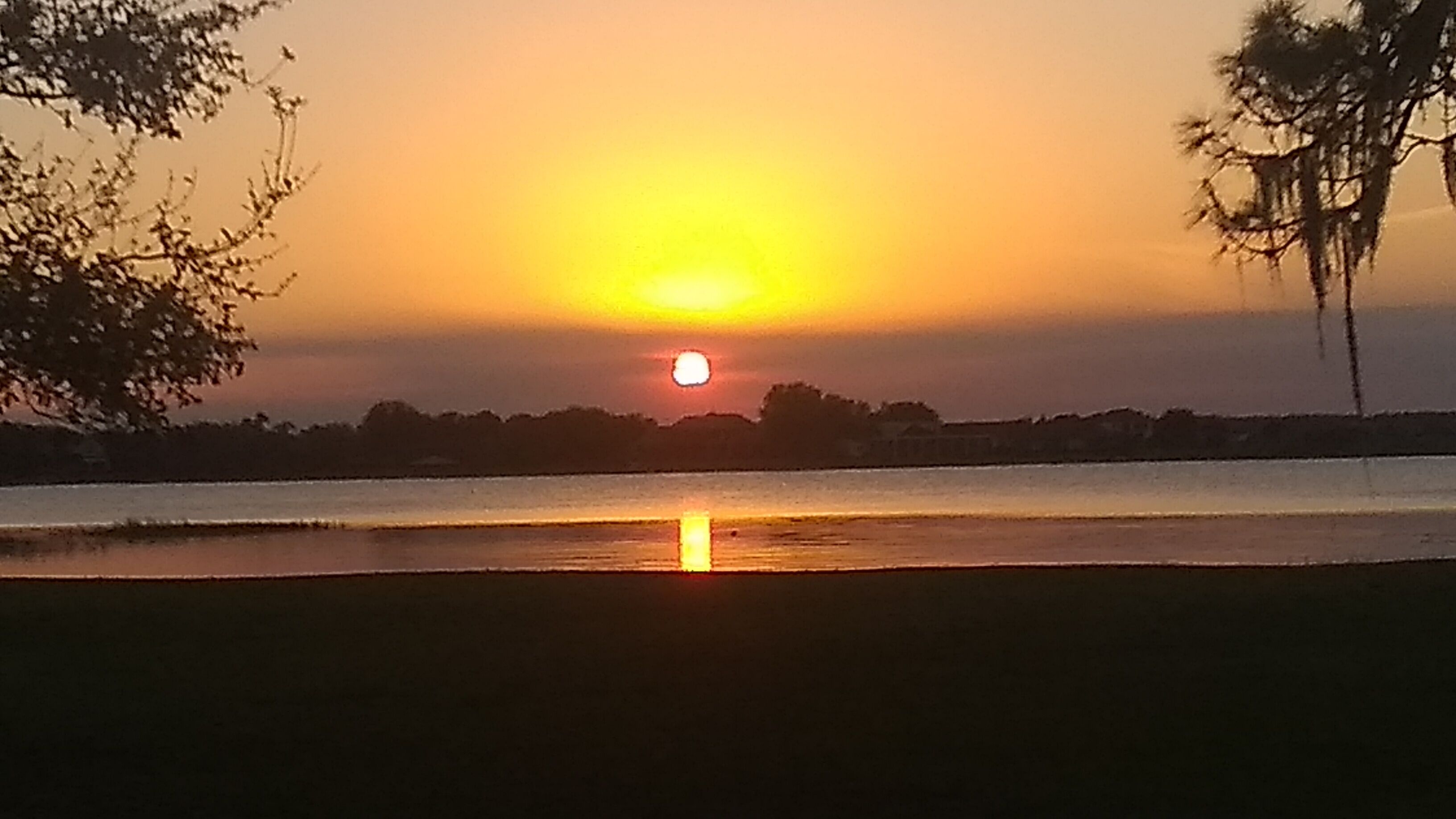 Peaceful Private Pet Friendly and near everything