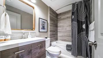 Combined shower/bathtub, hair dryer, towels, soap