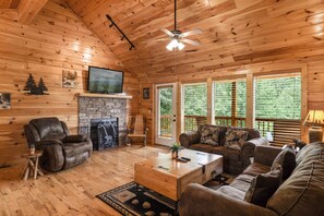 TV, fireplace, video games, DVD player