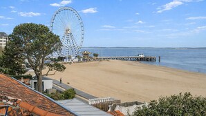 A beach with a Ferris wheel, a pier extending into the water, and a tree in the foreground.