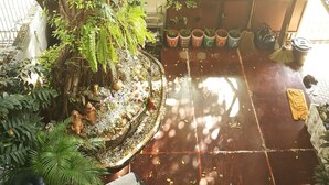 A lush indoor garden with a large tree, potted plants, and a decorative fountain. - Hostel 16 (Bangkok)