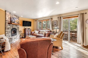 TV, fireplace, books