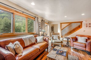 TV, fireplace, books