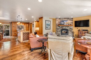 TV, fireplace, books