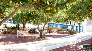 Un área de estar al aire libre con mesas y sillas bajo un árbol de naranjos.