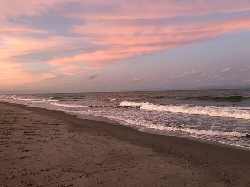 Snow bird friendly! 5 Oaks Blue Bird Cottage - close to beach and Charleston