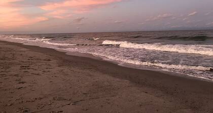 Snow bird friendly! 5 Oaks Blue Bird Cottage - close to beach and Charleston