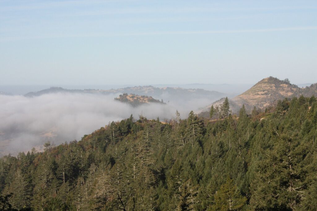 A forested mountain landscape with a clear view of the valley below.