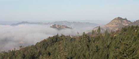 A forested mountain landscape with a clear view of the valley below.