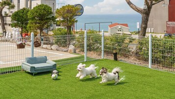 Un área exterior cercada con césped artificial, un sofá azul y un perro corriendo.