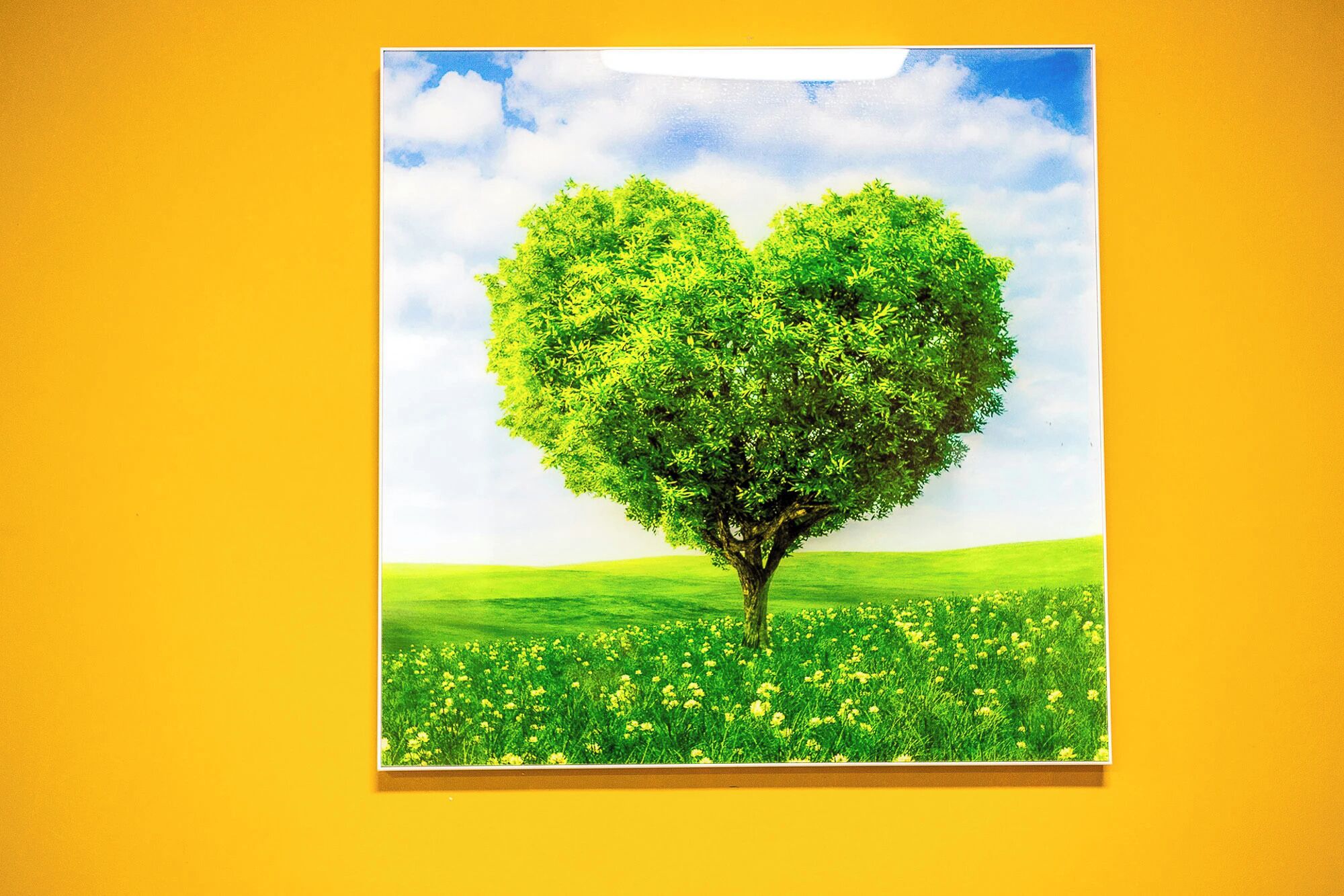 Un árbol con forma de corazón en un campo bajo un cielo despejado.
