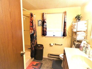 Bathtub, hair dryer, towels, soap - Quiet Cozy Home in God's Country Potter County PA   --- (Coudersport)