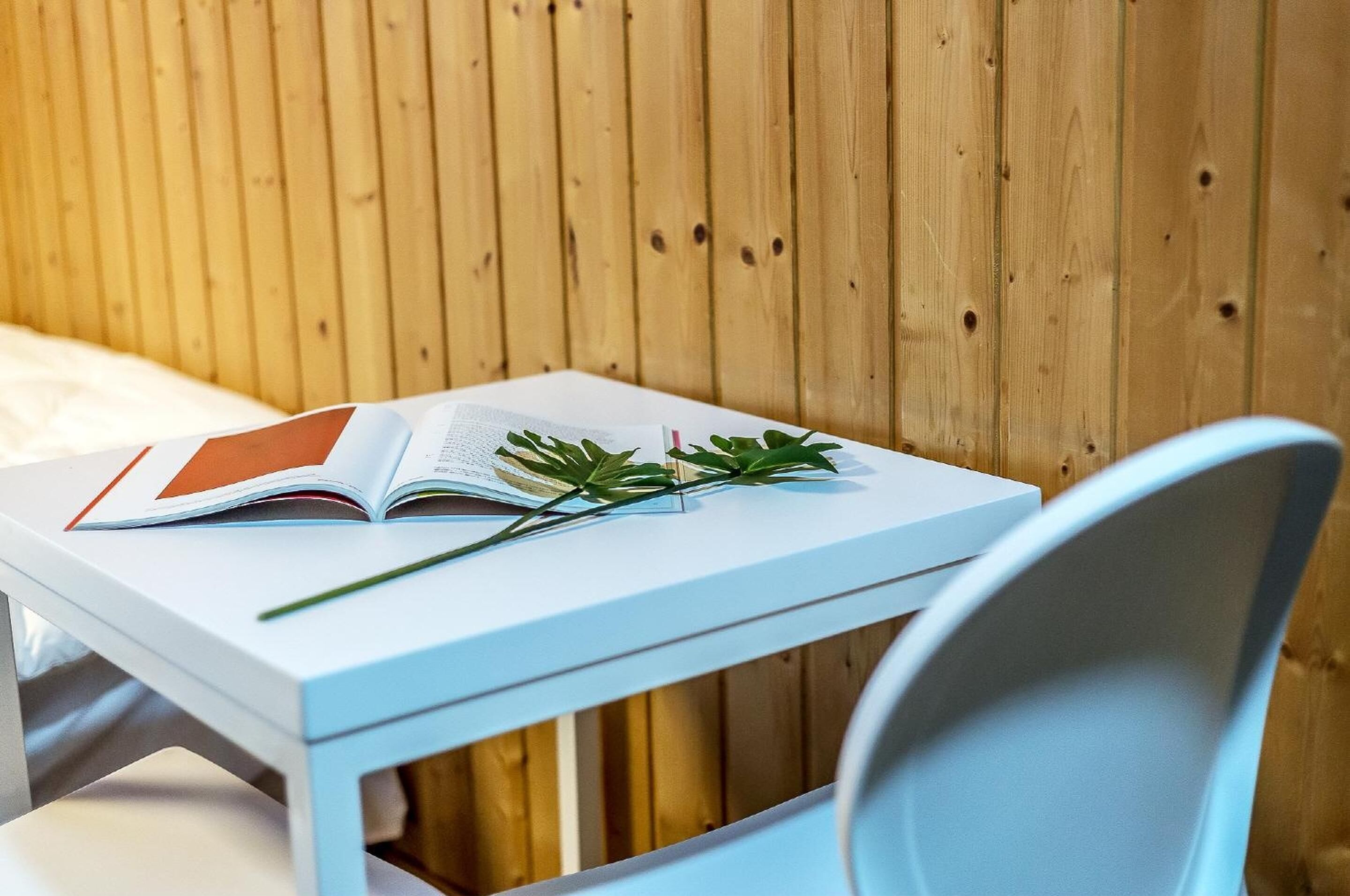 A white table with an open book and a green plant.