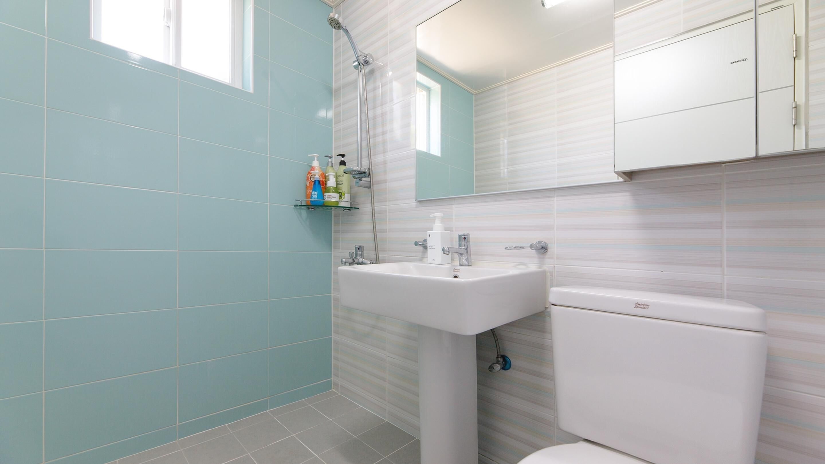 A bathroom with a white sink, a toilet, and a shower. There are toiletries on a shelf.