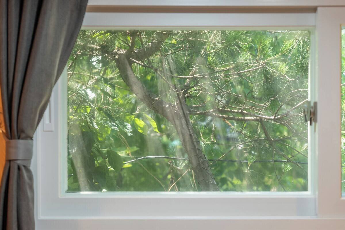 Ein Fenster mit Blick auf einen Baum, teilweise verdeckt durch einen Vorhang.