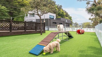 Un parque para perros con una rampa de madera, un túnel rojo y césped artificial.