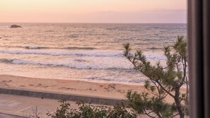 Blick auf einen Strand mit Wellen, einem sandigen Ufer und einem Baum im Vordergrund.