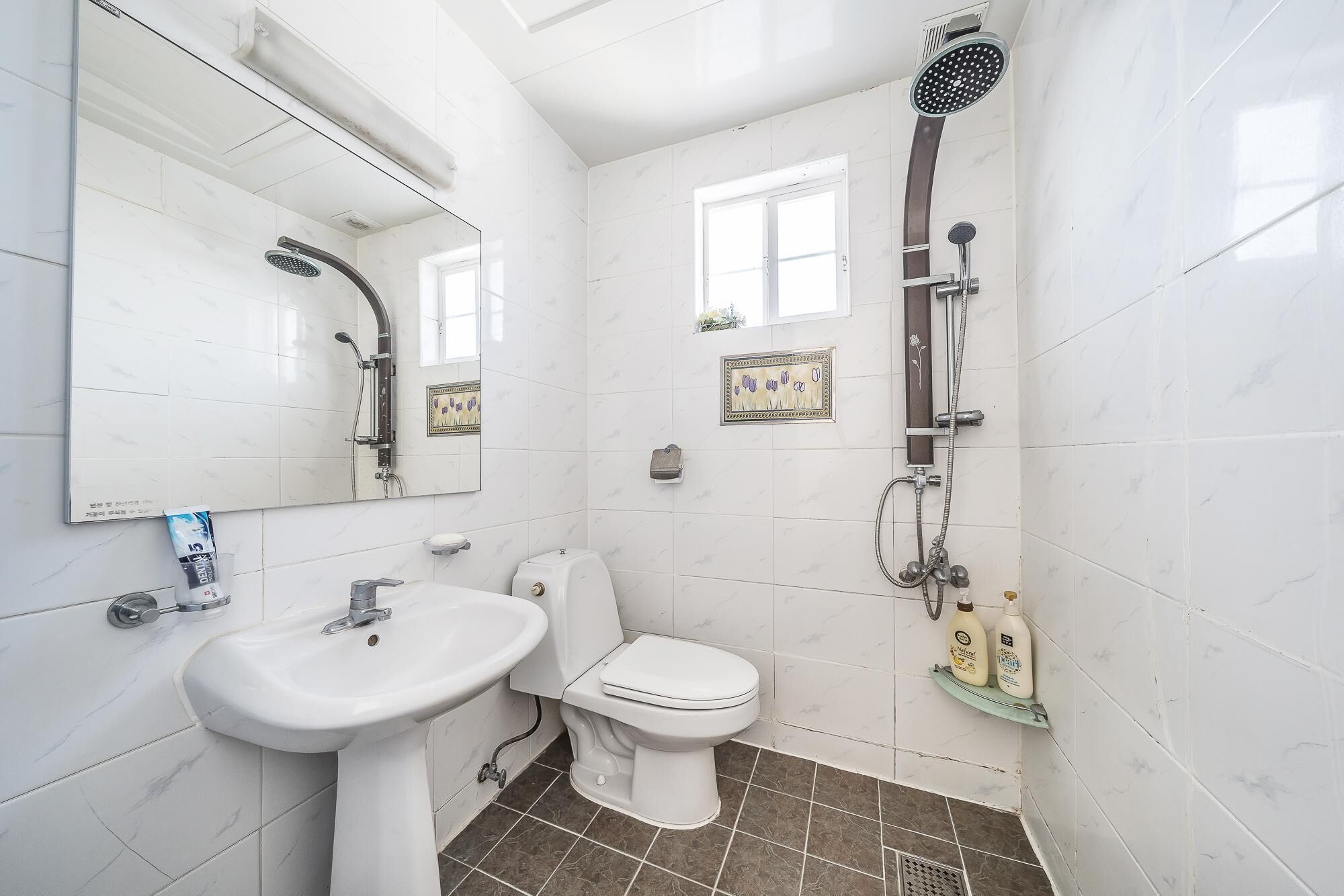 Une salle de bain avec un lavabo, des toilettes et une douche.