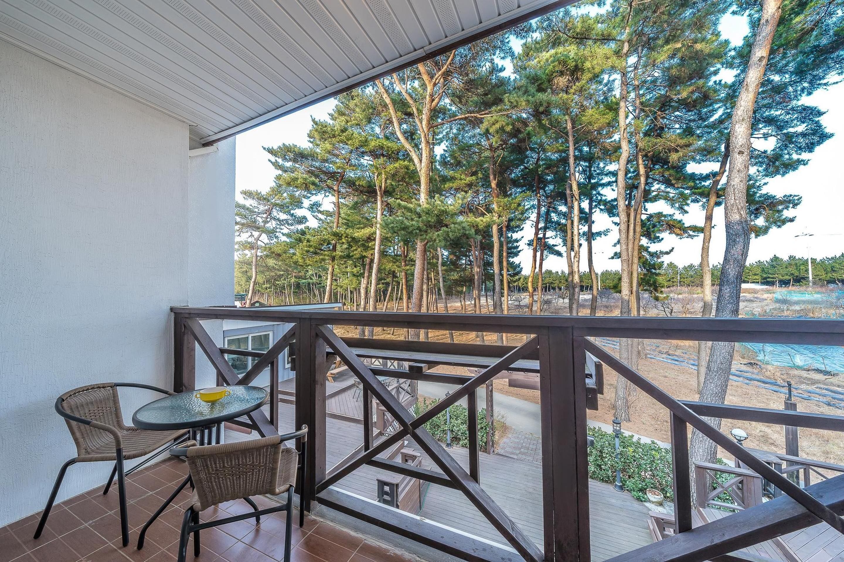 基础客房, 1 间卧室 (B203) | 1 多间卧室、免费 WiFi