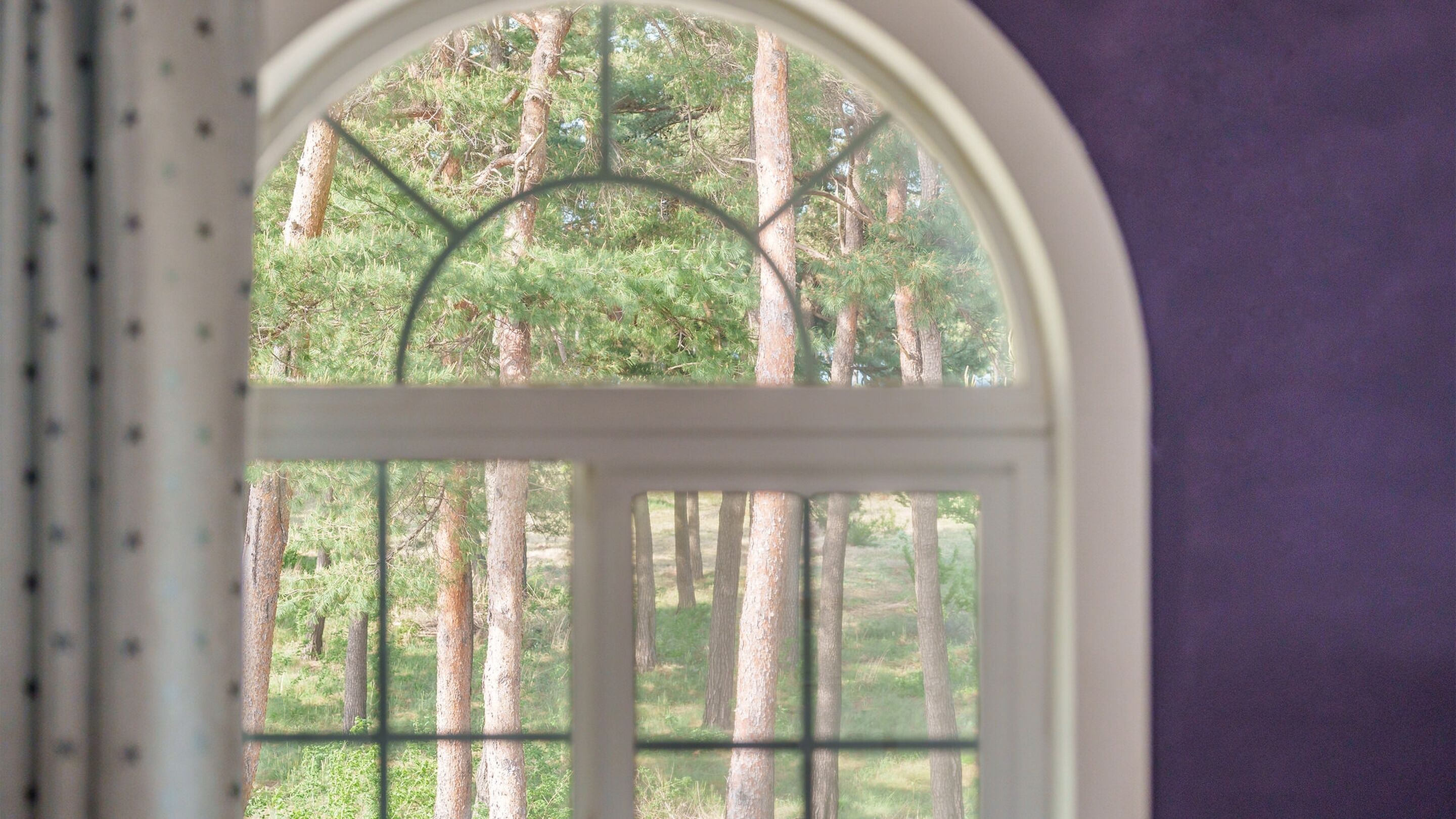 基础客房, 1 间卧室 (B201) | 1 多间卧室、免费 WiFi