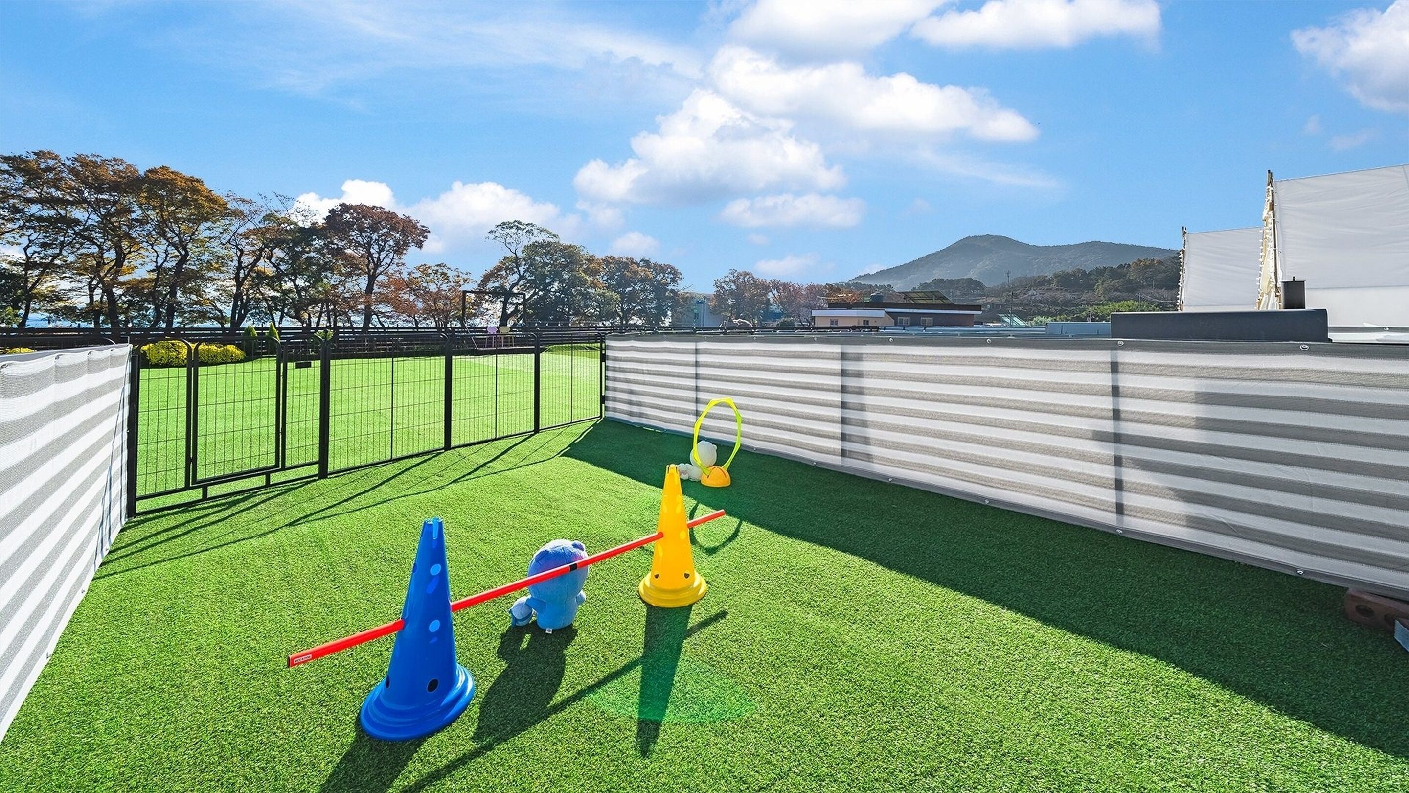 Basic-rum - 1 sovrum (Poodle1) | 1 sovrum och gratis wi-fi