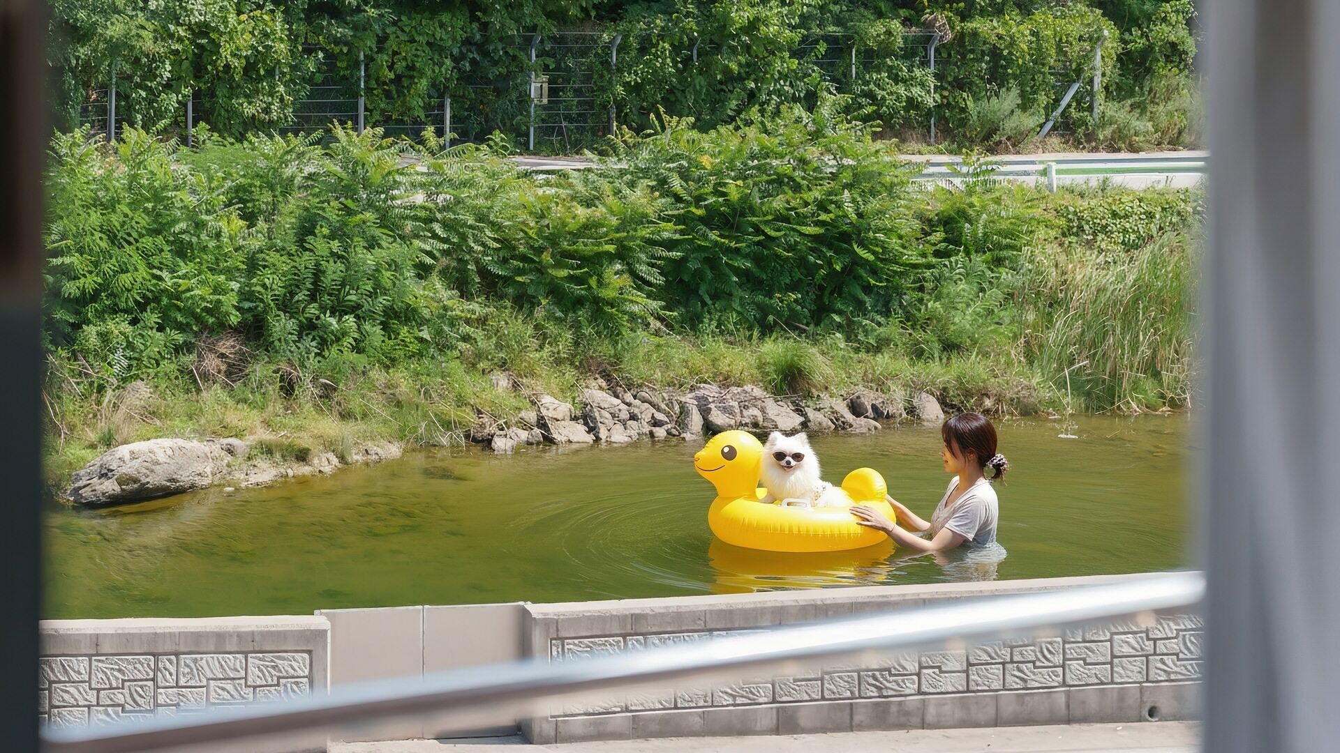 A person in a body of water with a yellow inflatable duck, surrounded by greenery.