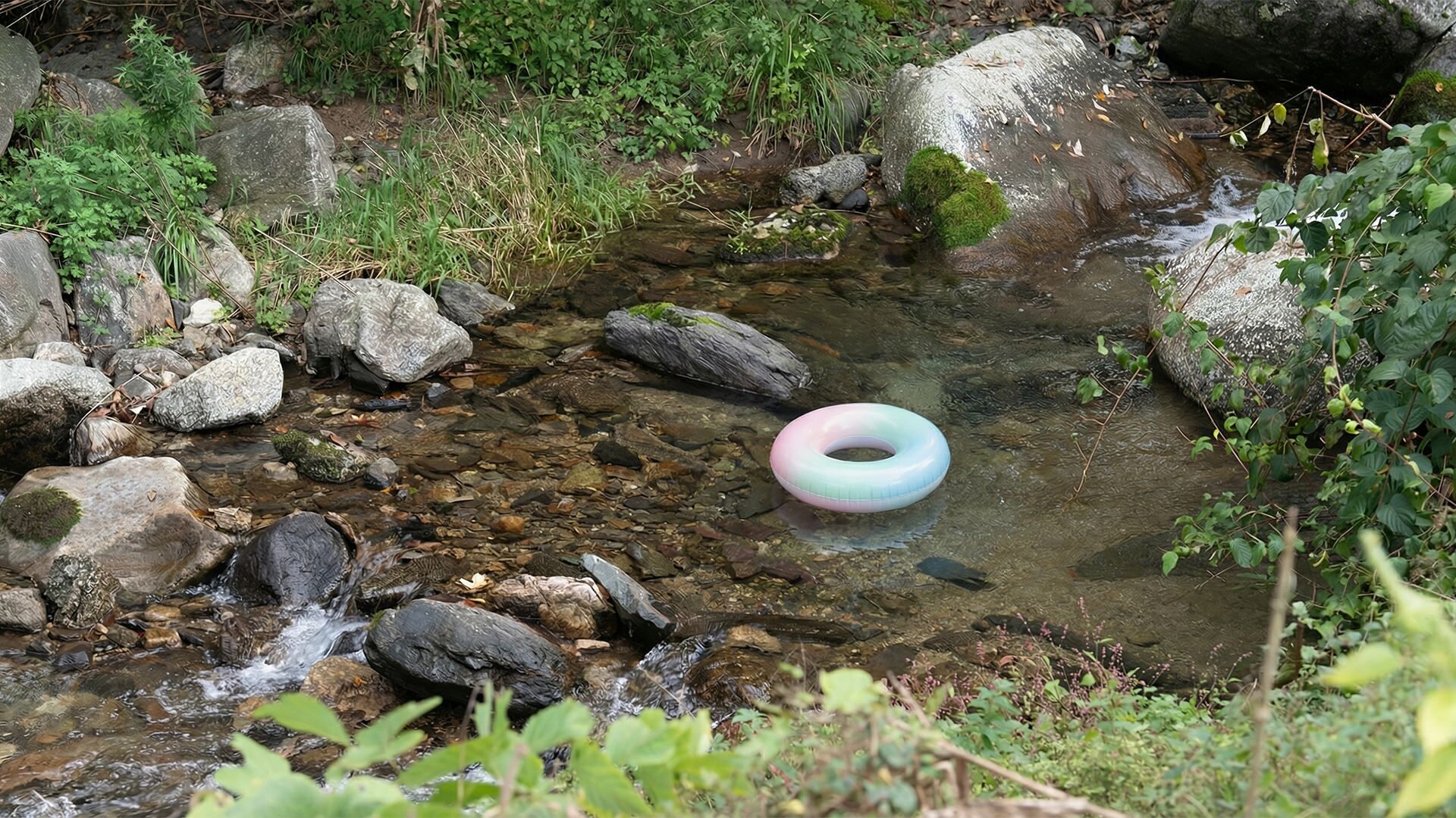 A natural stream with rocks and a floating ring.