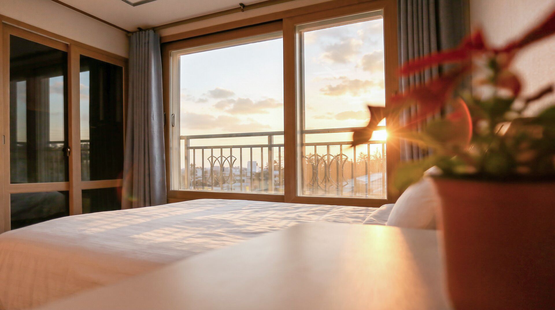 Una habitación de hotel con un ventanal grande, una cama y una planta en maceta.